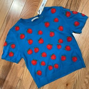 Alice + Olivia Strawberry Sweater NWT